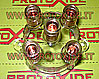calotta trasparente transparent caps