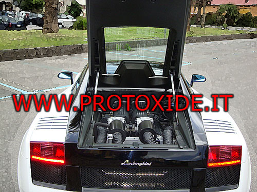 gallardo